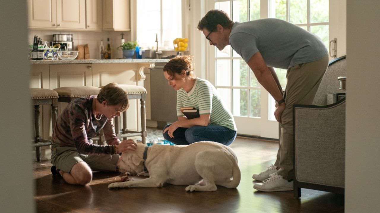فیلدینگ و گانکر در خانه در فیلم Dog Gone