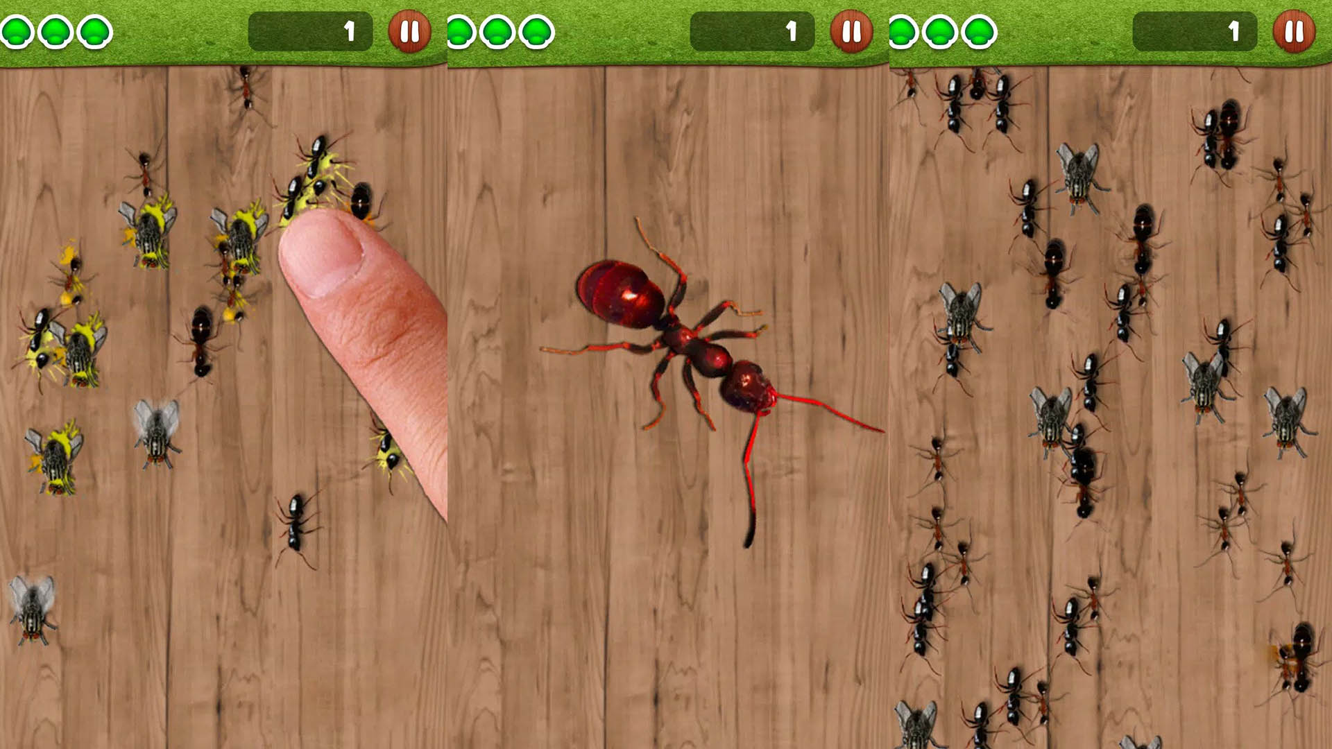 له کردن مورچه‌ها در بازی Ant Smasher