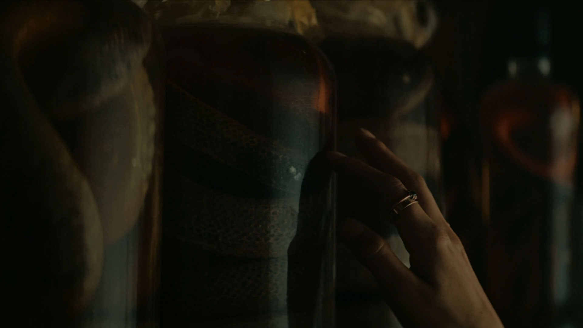 چند مار داخل شیسه‌های الکل در نمایی از فیلم هتل رویال به کارگردانی کیتی گرین